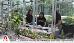 From cellulose batteries to upcycling soybean waste, 14 individuals receive NEA's EcoFriend Awards