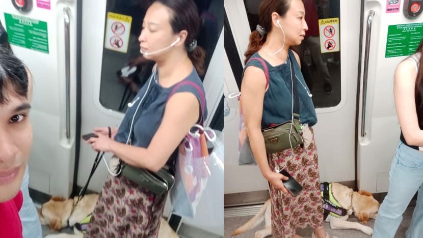 Opposition GE Candidate's Selfie With Visually Impaired Woman & Guide Dog On MRT Sparks Debate Online