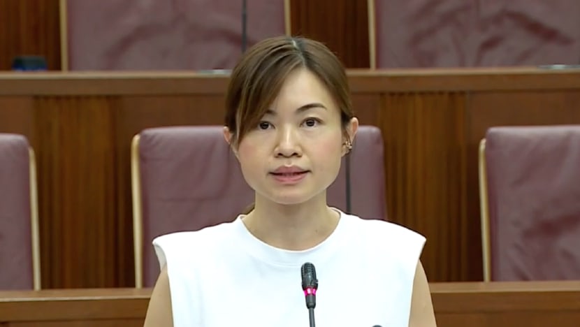 MP Tin Pei Ling joins fintech company MetaComp, leaves payment firm DCS Card Centre after 9 months