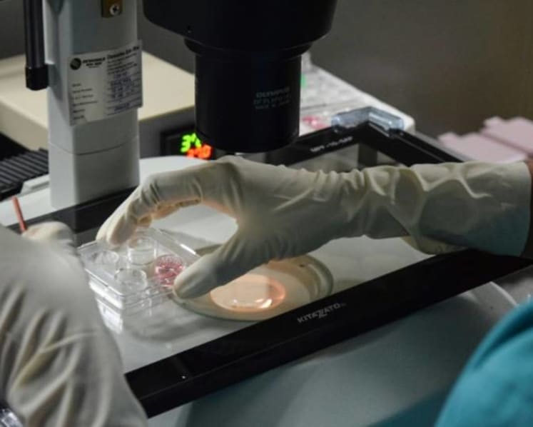 White Paper on Women’s Development: Women can undergo elective egg freezing regardless of marital status