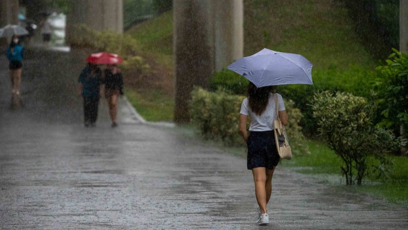 Warm and wet weather to continue in first half of May, thundery showers expected on most days