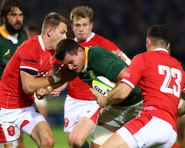 Louw called up to strengthen Springbok options for Nations Championship