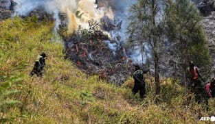 Indonesia tutup semua akses Gunung Bromo susuli kebakaran hutan