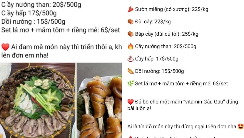 SFA looking into alleged illegal sale of dog meat in Singapore