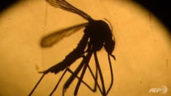 Related article image