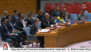 UN Security Council expresses grave concern over fighting in Syria