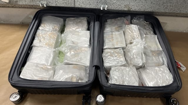 狮城飞奥克兰女旅客落地被捕 行李藏逾18公斤冰毒
