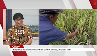 What's Coming Up - Insight On Why Coffee, Tea, Cocoa And Rice Are Changing In Indonesia