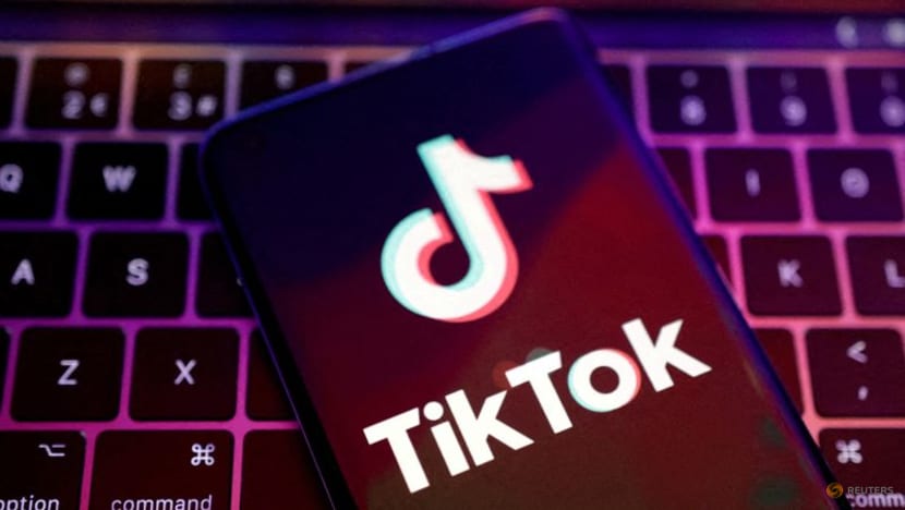 Commentary: US law that could ban TikTok has a logic problem Commentary: US law that could ban TikTok has a logic problem