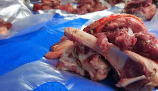 Daging kurban dibungkus plastik kresek ternyata berbahaya, ini penjelasannya 