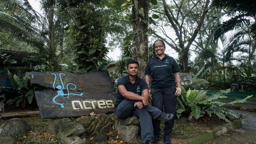 New Acres chiefs hope to correct S’poreans’ misperceptions about wildlife, step up animal rescue capabilities