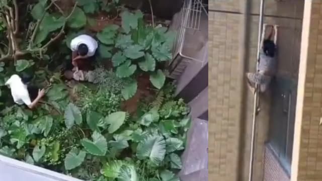 中国女童从八楼外墙坠落 保安伸手接救她一命