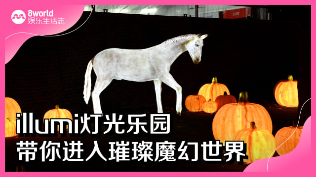 illumi灯光乐园　带你进入璀璨魔幻世界