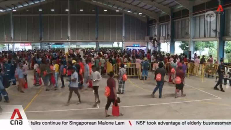 International Migrants Day: The lives shaping Singapore's social fabric 