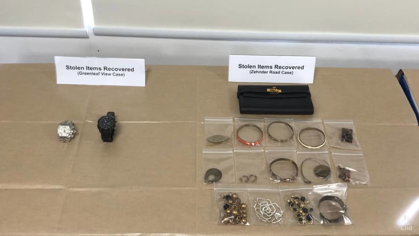 Two suspects arrested after housebreaking cases in Holland and Pasir Panjang areas; may be linked to syndicate