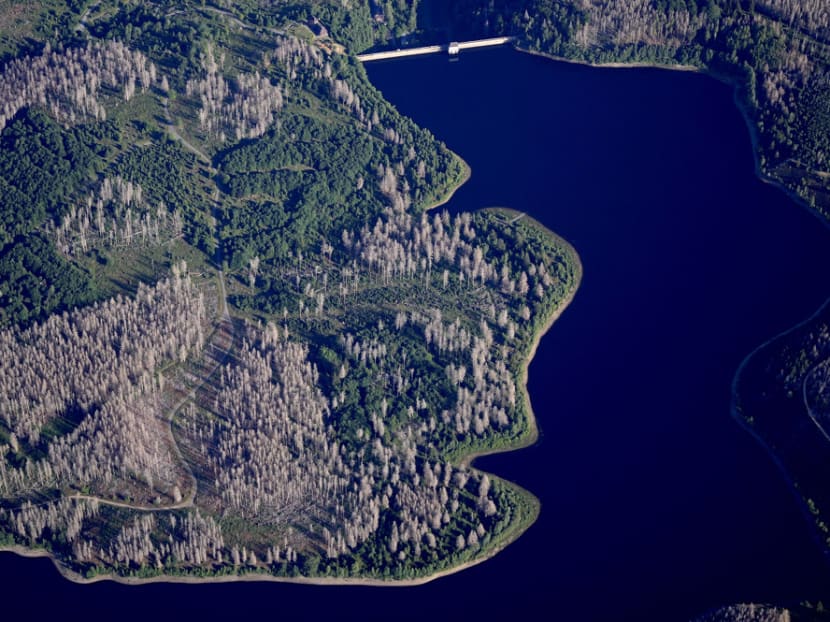 Berlin hosts envoys for heart-to-heart talks on climate