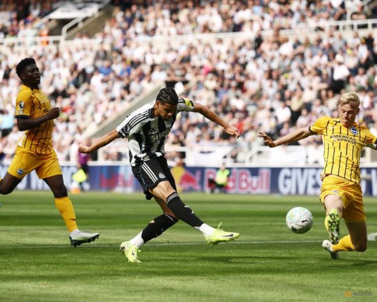 Relief for Howe as Newcastle end losing run with win over Brighton
