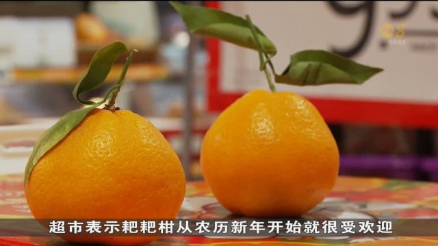 仍是产季 农历新年过了两个月 市面上还卖柑