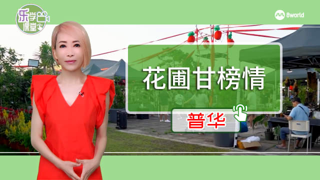【普华】星期二特写 | 棚下的精彩：棚下甘榜情