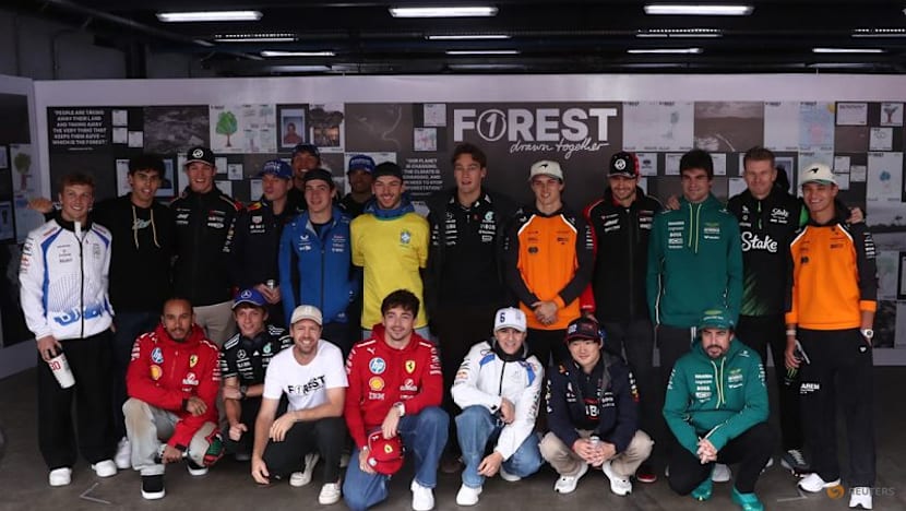 Climate campaigner Vettel open to future F1 role