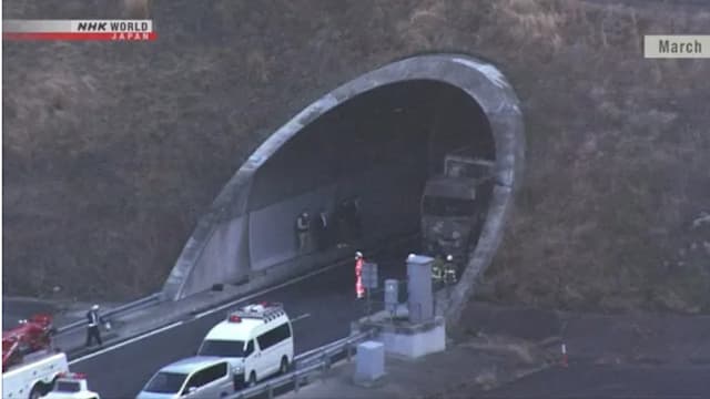 日本司机驾驶时看社媒视频分心 连撞四车致六死