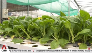 Rising fertiliser, fuel costs due to ongoing Middle East conflict impacting local farms