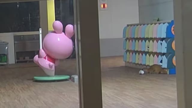 日本幼儿园鞋子失窃 警方布控发现小偷竟是黄鼠狼
