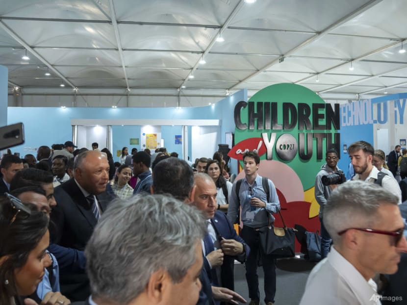 Youths at COP27 share their climate worries and hopes Youths at COP27 share their climate worries and hopes