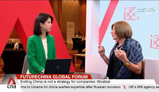 Exiting China is not a strategy: Analyst 