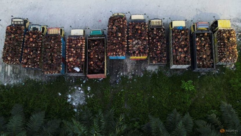 Indonesia palm oil group GAPKI urges government to delay levy hike Indonesia palm oil group GAPKI urges government to delay levy hike