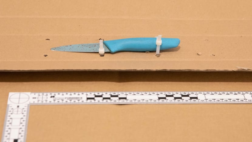Yishun knife incident: Alleged attacker known to neighbourhood police, tests positive for drugs