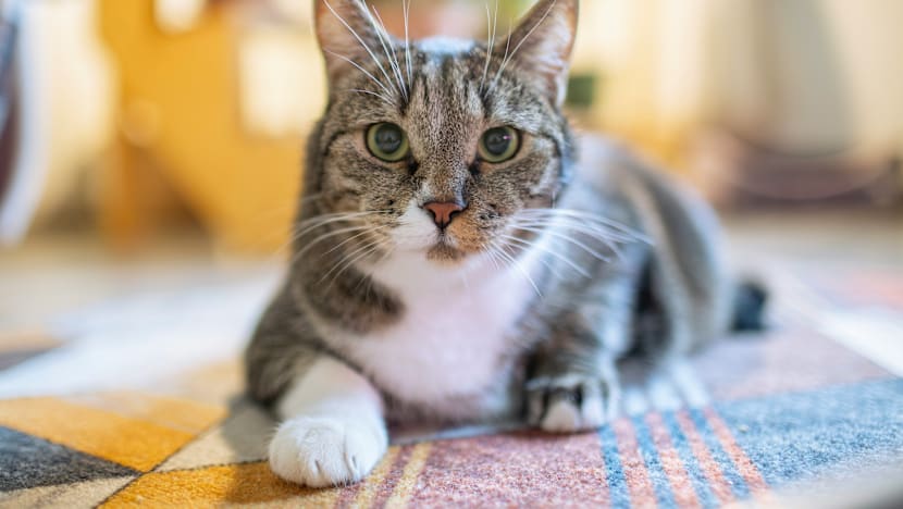 Related article image