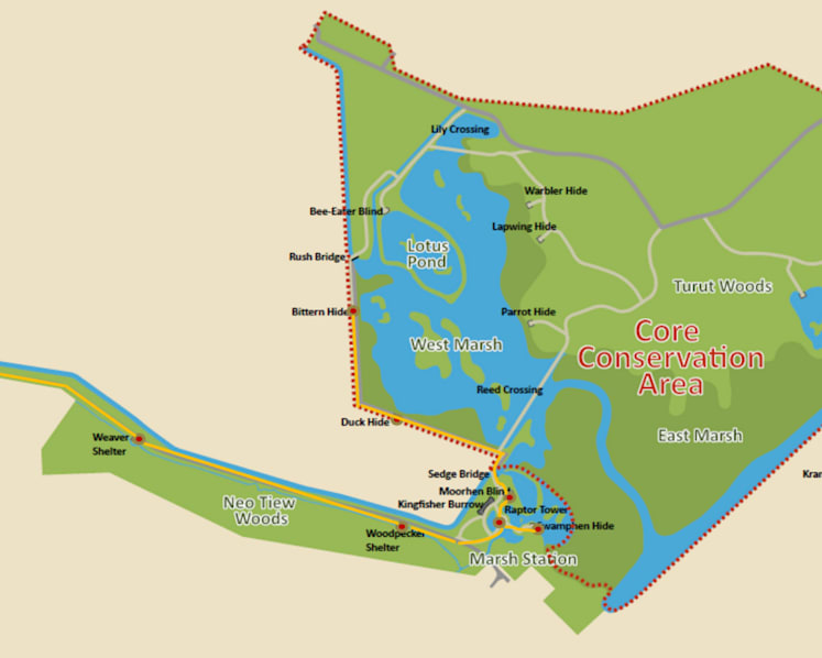 Rich biodiversity on offer as Kranji Marshes open