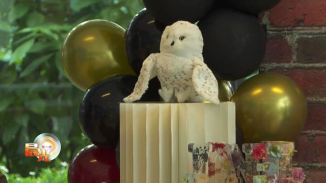 晨光|潮流解码：做体操玩实验 打造儿童专属生日会