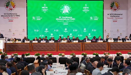 WTO members bypass opposition to introduce world's first baseline digital trade rules