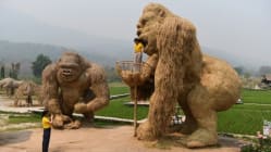 Related article image