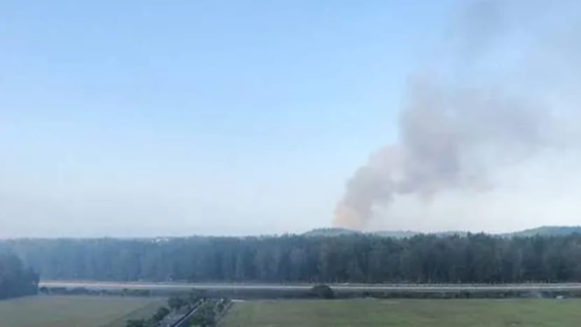 Bau terbakar di timur laut S'pura 'mungkin' disebabkan kebakaran tapak lupus sampah Johor: NEA