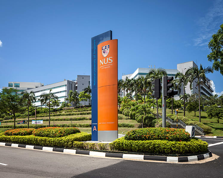 Exodus of lecturers in NUS department, discontinued modules worry students