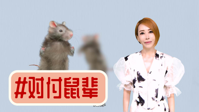 【多懂一点】用人道手法让老鼠安乐死？