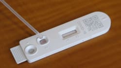 Related article image