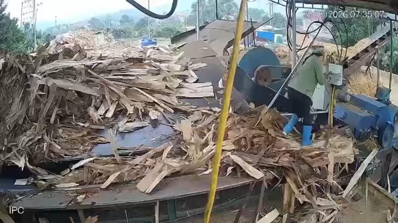 疑太靠近机器酿祸 越南女工卷入碎木机身亡