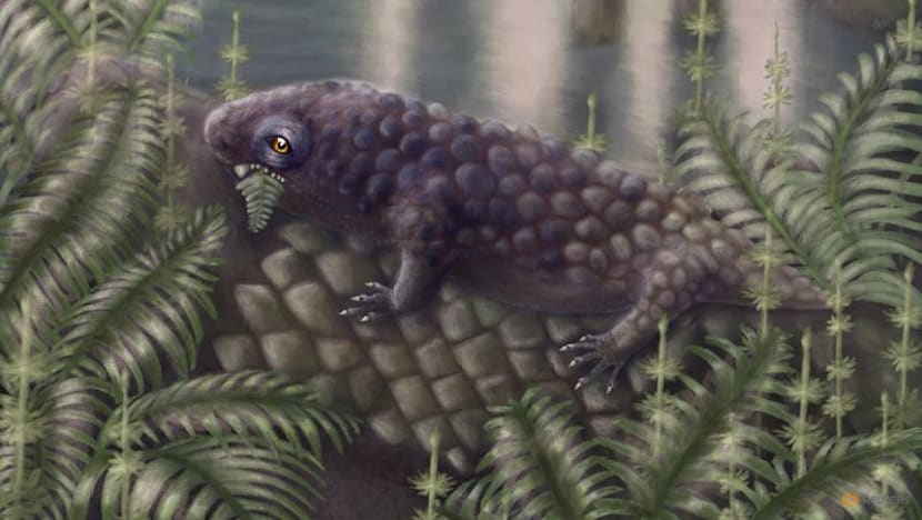 Canadian fossil reveals one of the first plant-eating animals