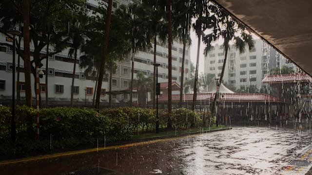 未来两周本地部分地区 多数下午将出现雷阵雨