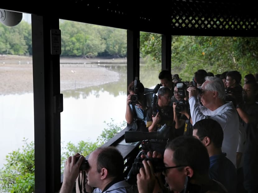 ESM Goh Chok Tong (centre, in white) uses a binoculars to observe wildlife at Sungei Buloh. He was the Guest-of-Honour at the 25th anniversary celebration of Sungei Buloh Wetland Reserve, where it was announced that the Mandai mangrove and mudflats would be Singapore’s newest nature park, October 7, 2018. ESM Goh Chok Tong (centre, in white) uses a binoculars to observe wildlife at Sungei Buloh. He was the Guest-of-Honour at the 25th anniversary celebration of Sungei Buloh Wetland Reserve, where it was announced that the Mandai mangrove and mudflats would be Singapore’s newest nature park, October 7, 2018.