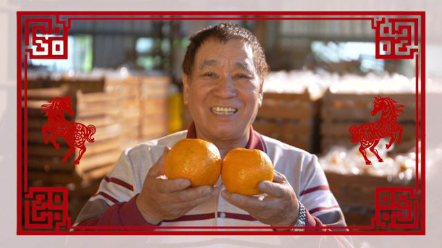 狮城有约 | 台中石冈区的椪柑为何特别多汁甜爽？