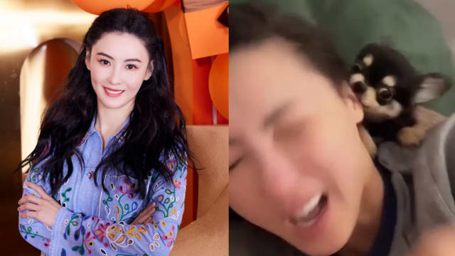 狗女儿床上突失控　张柏芝被咬！