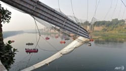 Related article image