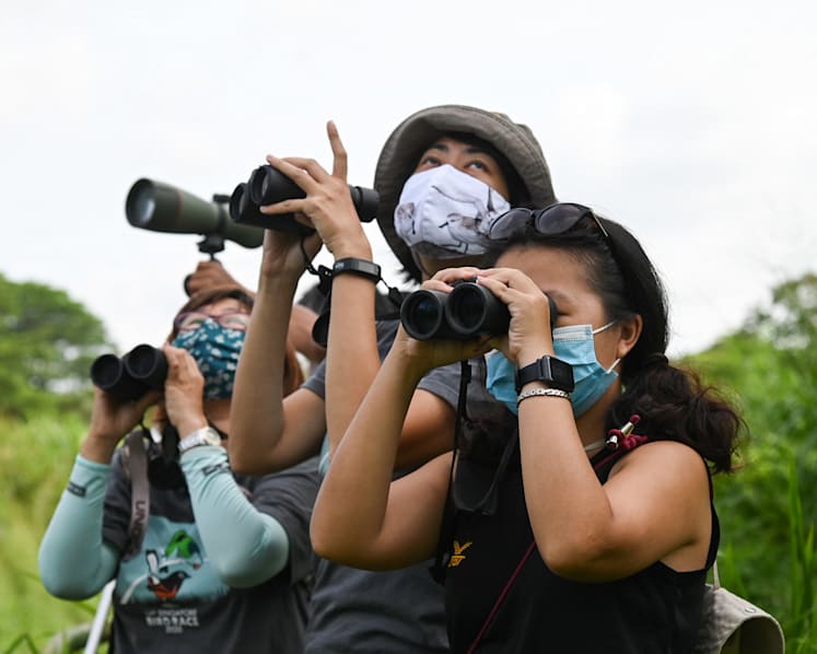 Not just for the birds: How citizen scientists flock together for conservation