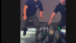 Related article image