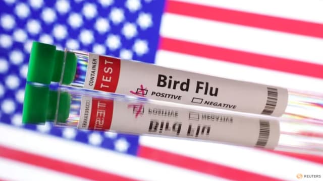 美国出现首起无动物接触史的染禽流感病例